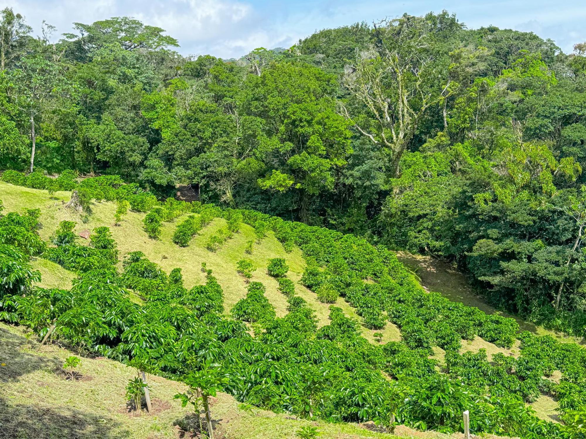 Casa Rayo De Luna Monteverde 외부 사진