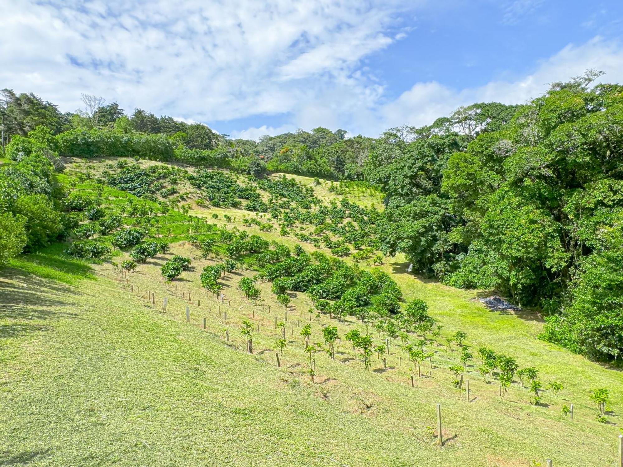Casa Rayo De Luna Monteverde 외부 사진